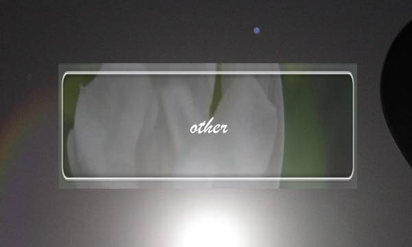 other 和 others区别(五个other的区别口诀)