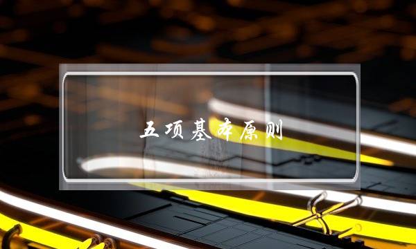 五项基本原则(中国外交5项基本原则)
