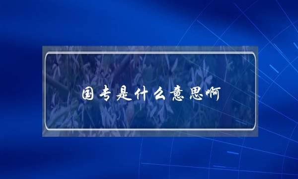 国专是什么意思啊(大专文凭出来能干嘛)