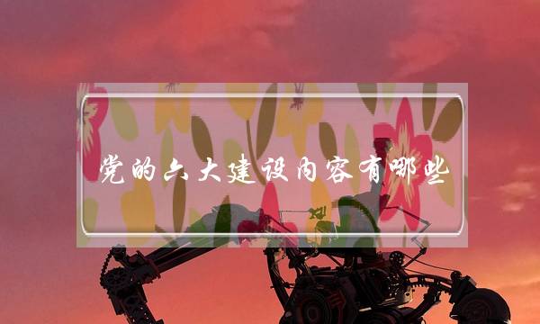 党的六大建设内容有哪些(组织建设六个方面内容)