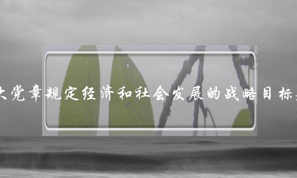 十七大党章规定经济和社会发展的战略目标是什么(推进精准扶贫首要问题是什么)