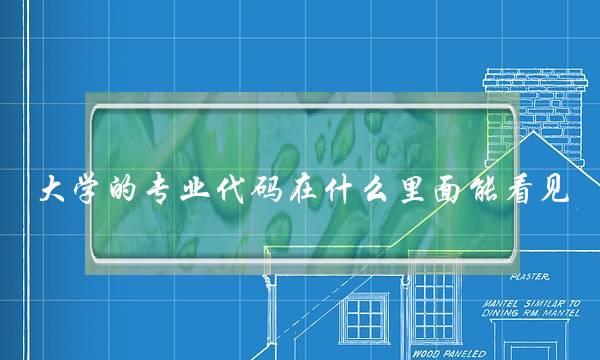 大学的专业代码在什么里面能看见(西南民族大学)