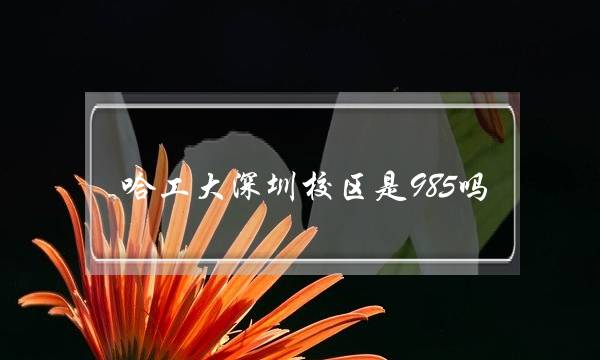 哈工大深圳校区是985吗(哈工大在深圳的认可度)