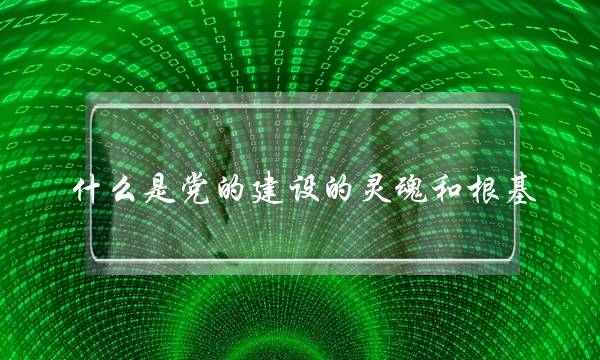 什么是党的建设的灵魂和根基(党的建设的根基是什么)