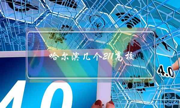 哈尔滨几个211高校(哈尔滨四所211)