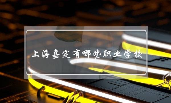 上海嘉定有哪些职业学校(嘉定有哪几所高职学校)