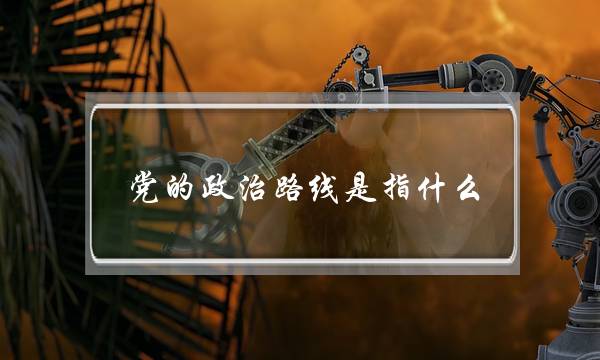 党的政治路线是指什么(党的政治路线)