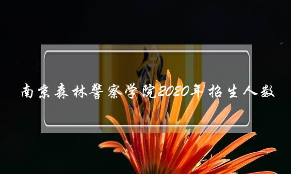 南京森林警察学院2020年招生人数(南京森林警察学院女生)