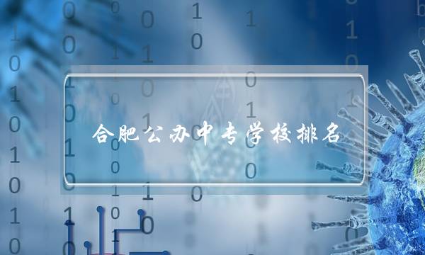 合肥公办中专学校排名(合肥公办职业学校)