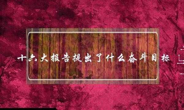十六大报告提出了什么奋斗目标(2035年奋斗目标)