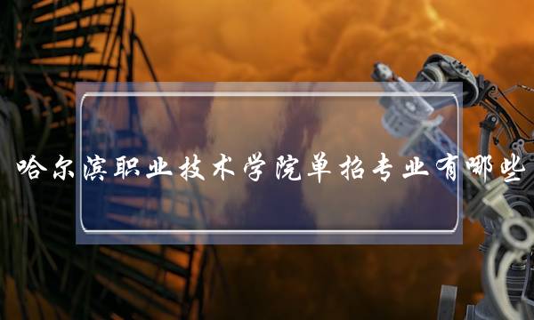 哈尔滨职业技术学院单招专业有哪些(哈尔滨职业技术学院单招)