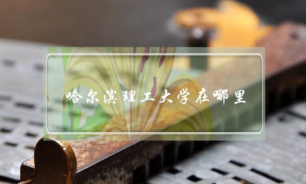 哈尔滨理工大学在哪里(哈尔滨理工大学地址在哪个街道)