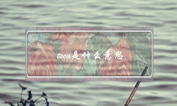tsca是什么意思(TSCA测试报告)