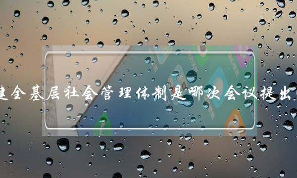 健全基层社会管理体制是哪次会议提出的(基层管理体制改革)