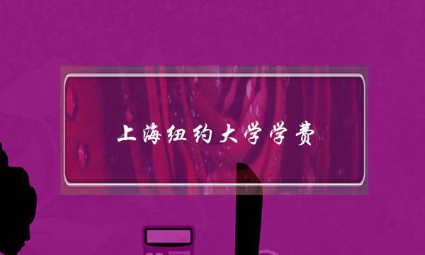 上海纽约大学学费(最便宜的中外合作办学硕士)