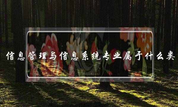 信息管理与信息系统专业属于什么类(信息管理与信息系统专业就业方向)
