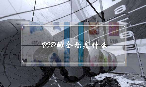 VIP的全称是什么(最顶级的vip叫什么)