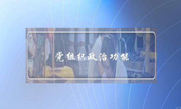 党组织政治功能(党支部发挥政治功能)