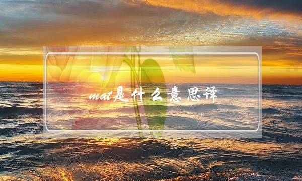 mat是什么意思译(MAT是什么简称)