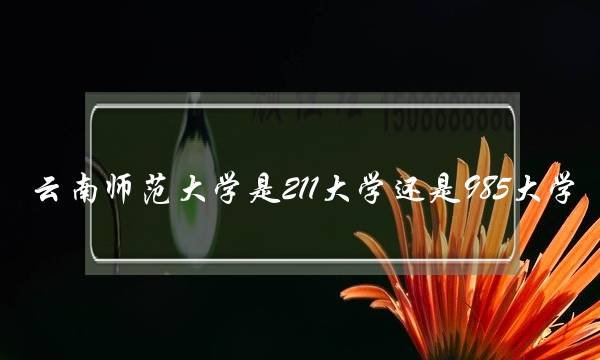 云南师范大学是211大学还是985大学-(学前教育考研院校)