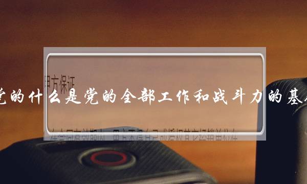 党的什么是党的全部工作和战斗力的基础(在党的建设中,处于首要地位的是)