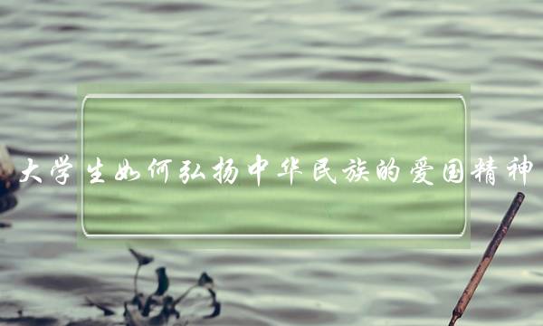 大学生如何弘扬中华民族的爱国精神(弘扬中华民族精神ppt)