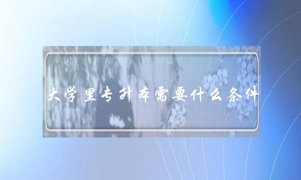 大学里专升本需要什么条件(应届生专升本要什么条件)