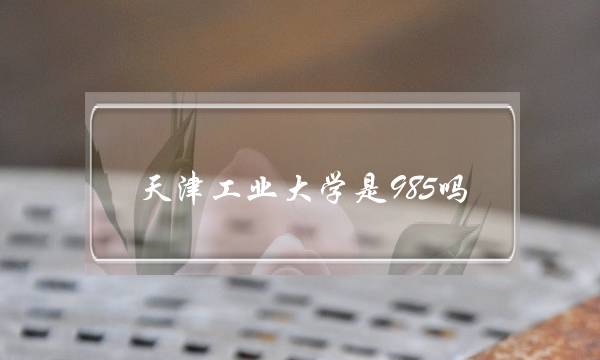 天津工业大学是985吗(天津工业大学是一本吗)