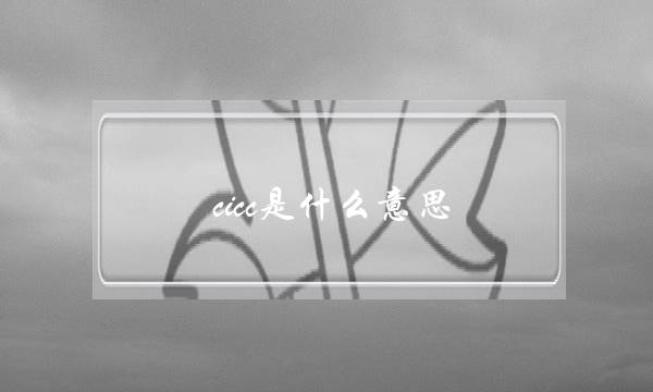 cicc是什么意思(中金cicc是什么公司)