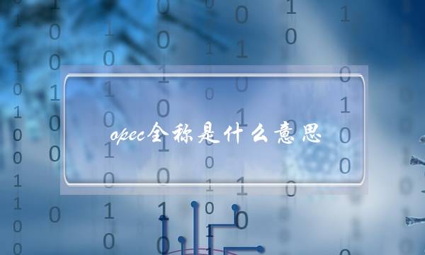 opec全称是什么意思(opec怎么读)