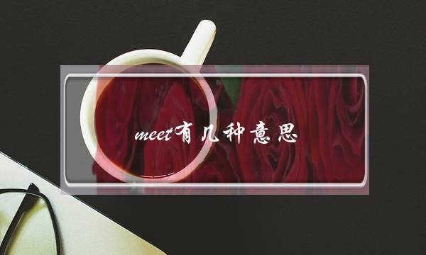 meet有几种意思(nice是什么中文意思)