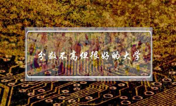 分数不高但很好的大学(300多分的本科大学有哪些)