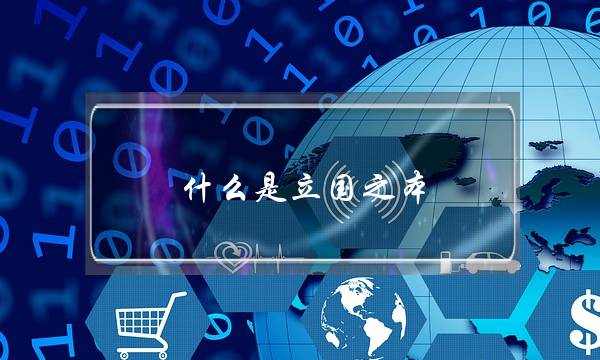 什么是立国之本-什么是强国之路-(立国之本的基本原则是)