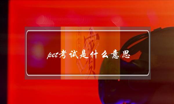 pet考试是什么意思(pet考试报名条件)