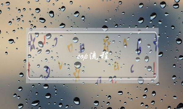 sop流程(sop标准五要素)
