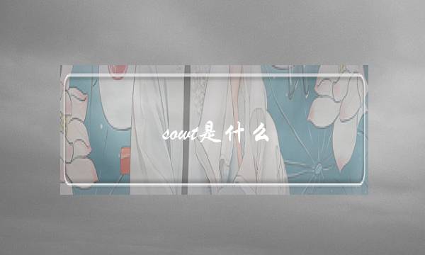 sowt是什么(swot四个字母分别代表什么)