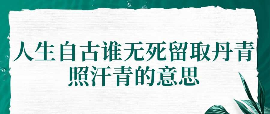 人生自古谁无死留取丹青照汗青的意思(人生自古谁无死 留取丹青 照汗青的意思)