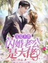 《颜书菘蓝薄夙》小说主角无爱不欢：闪婚老公是大佬全文章节免费在线阅读