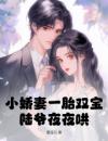 《叶声声陆时宴》小说主角小娇妻一胎双宝，陆爷夜夜哄！全文章节免费在线阅读