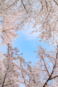 全本风吻不到他的海岸：+后续+结局（顾晓雨陆远川）最新章节列表_全本风吻不到他的海岸：+后续+结局全文阅读