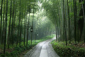 尘埃与星光：+后续+结局下载番外（舒衍季云曦）热推完整版小说阅读_尘埃与星光：+后续+结局全文免费阅读笔趣阁（舒衍季云曦）